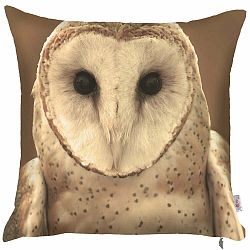 Obliečka na vankúš Apolena Owl, 43 × 43 cm